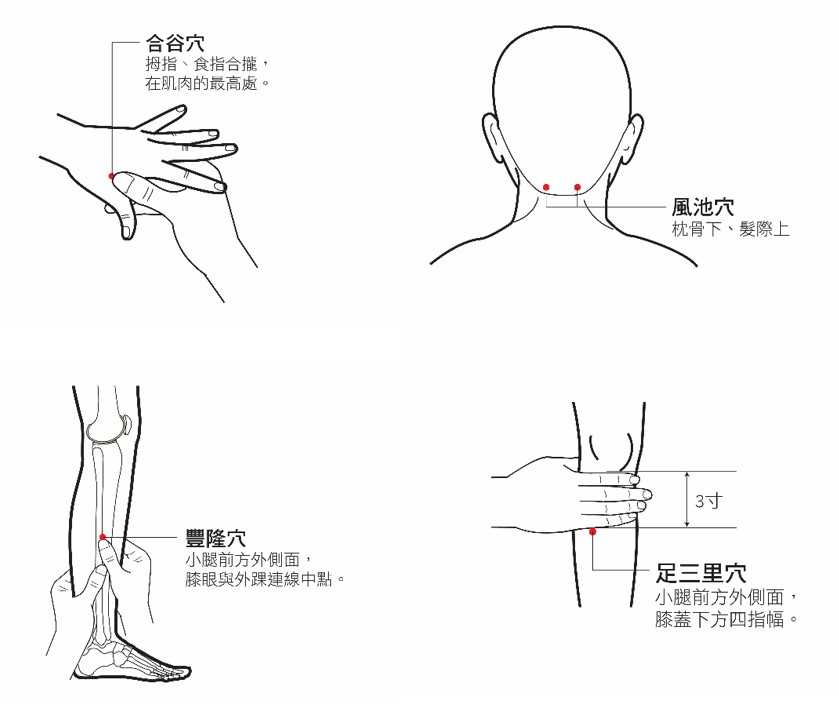 圖一. 按摩保養穴位圖