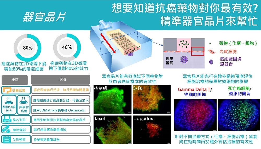 多維列印中心 器官晶片