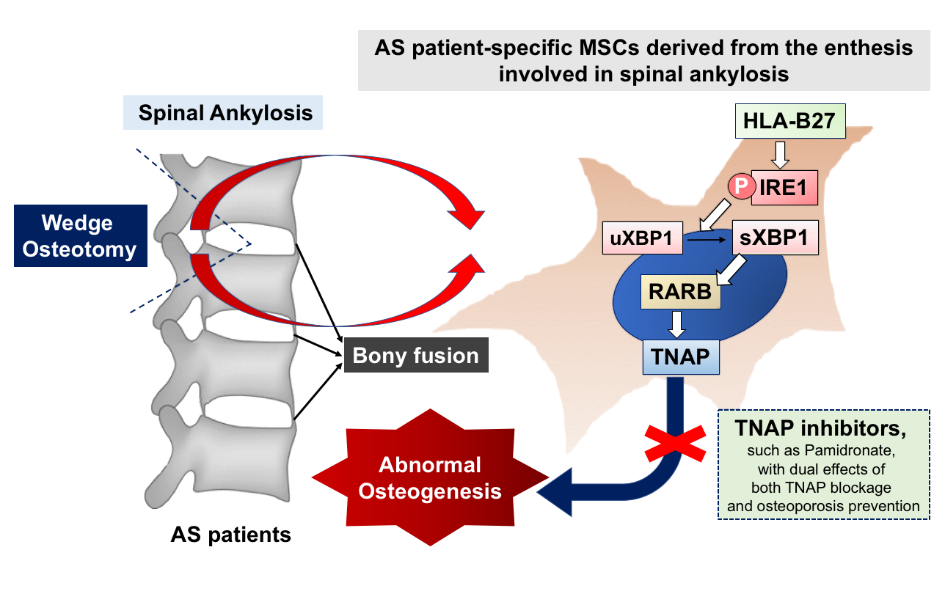 Journal of Clinical Investigation, 129(12):5357-5373 2019