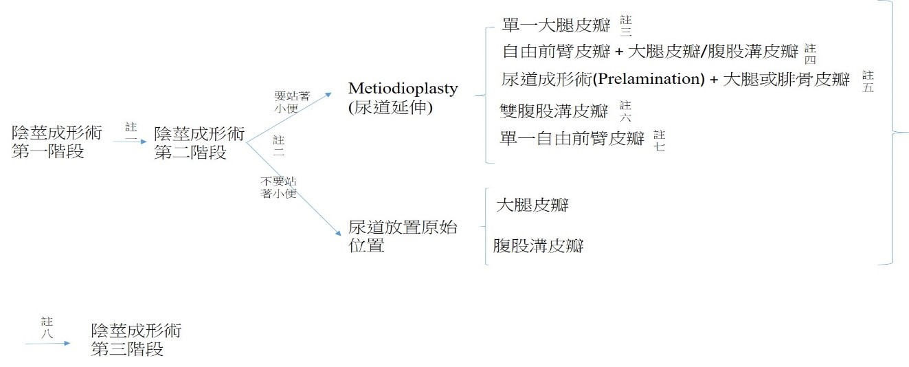 目前陰莖成形術流程圖