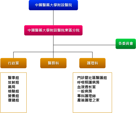 中國醫藥大學附設醫院東區分院組織架構