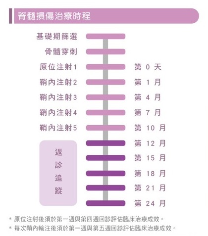 脊髓損傷治療時程