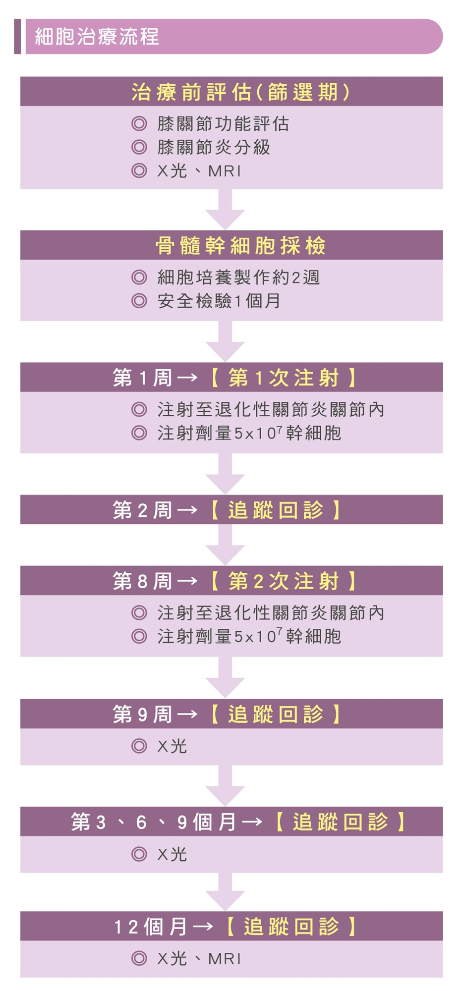 自體骨髓間質幹細胞治療流程-膝退化性關節炎治療