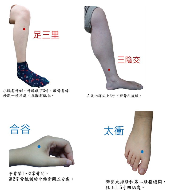 針灸穴位常使用足三里穴、三陰交穴、合谷穴、太衝穴 