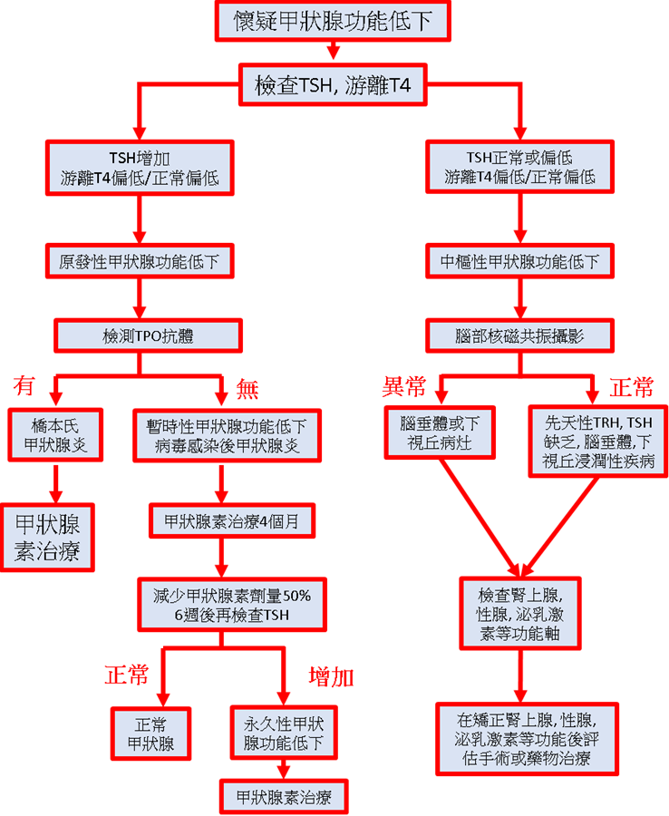 機能 症 甲状腺 低下 甲状腺機能低下症とは?症状･原因･治療･病院の診療科目｜病気スコープ