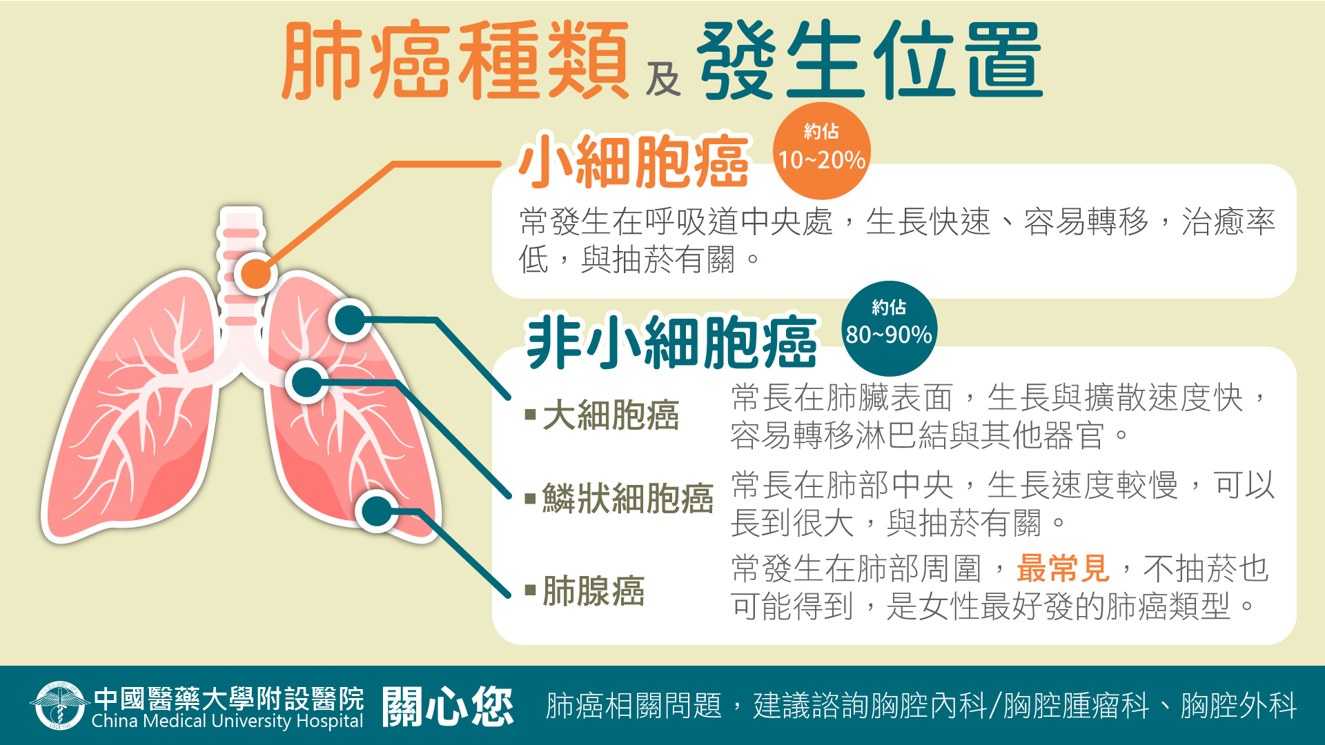 肺癌種類及發生位置
