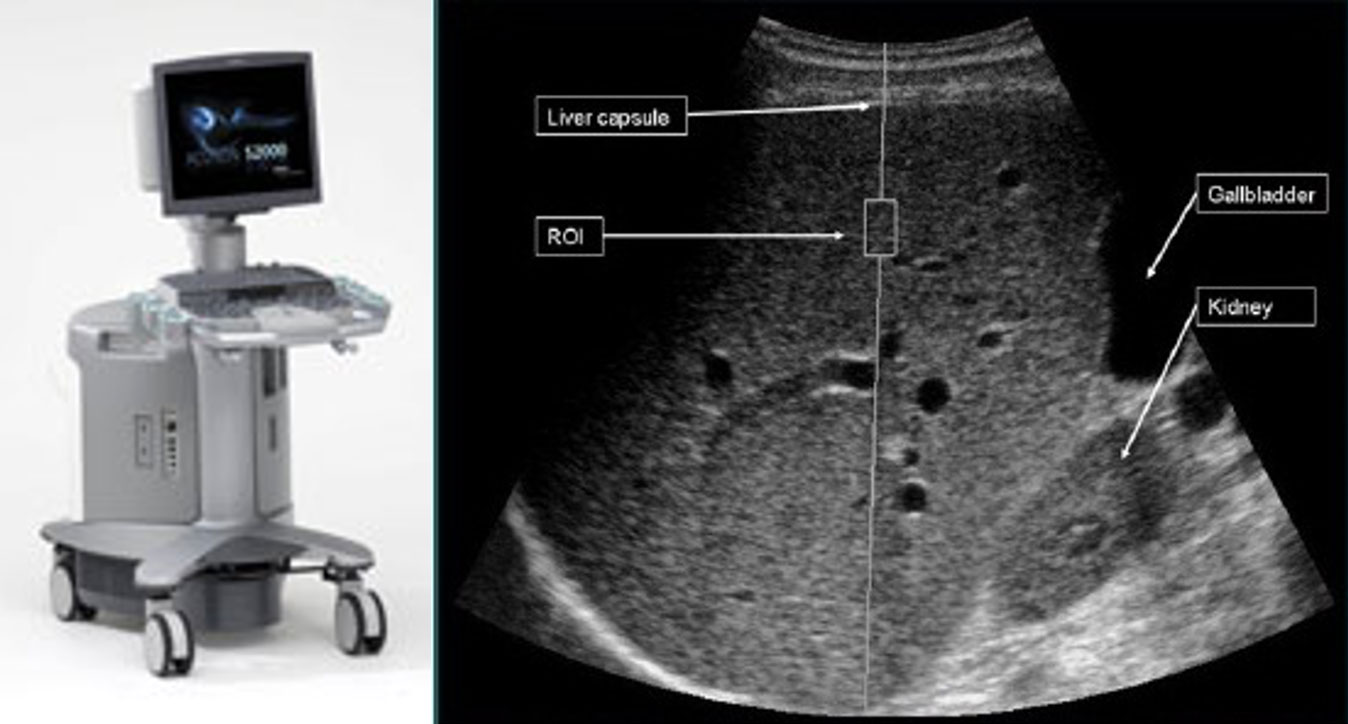 消化系| 特色介紹- 中國醫藥大學附設醫院