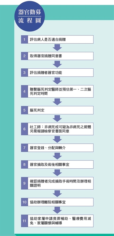 器官勸募流程圖