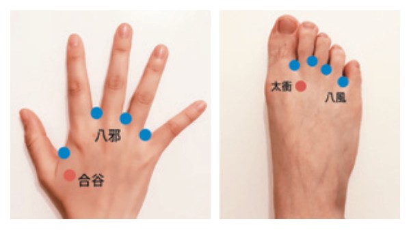 常用穴道如八邪穴、八風穴、合谷穴、太衝穴