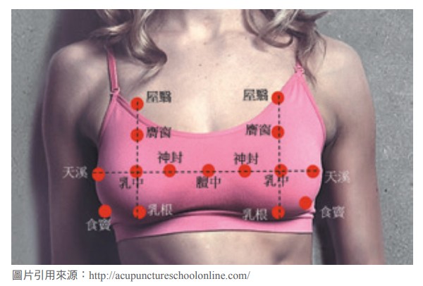  乳房穴位（類似雙十字圖案）