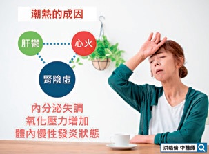 潮熱的成因