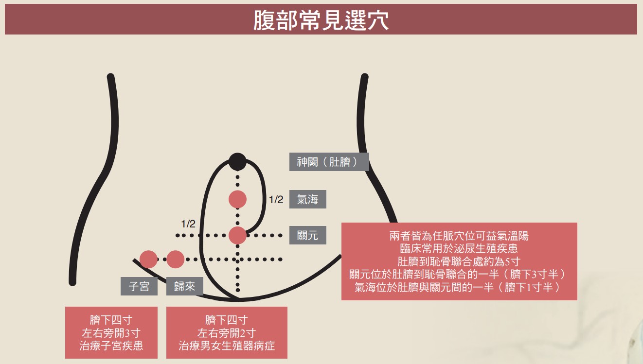 腹部常見選穴