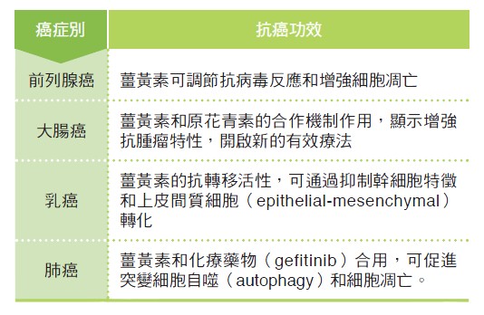 薑黃素（Curcumin）癌症相關研究