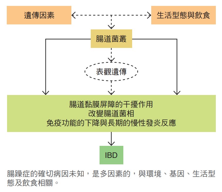 腸躁症的確切病因未知，是多因素的，與環境、基因、生活型態及飲食相關。