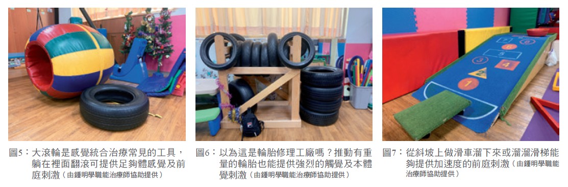 圖5： 大滾輪是感覺統合治療常見的工具