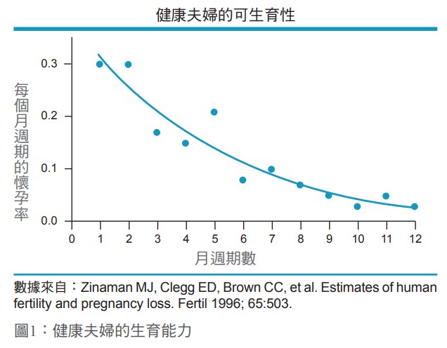 圖1：健康夫婦的生育能力
