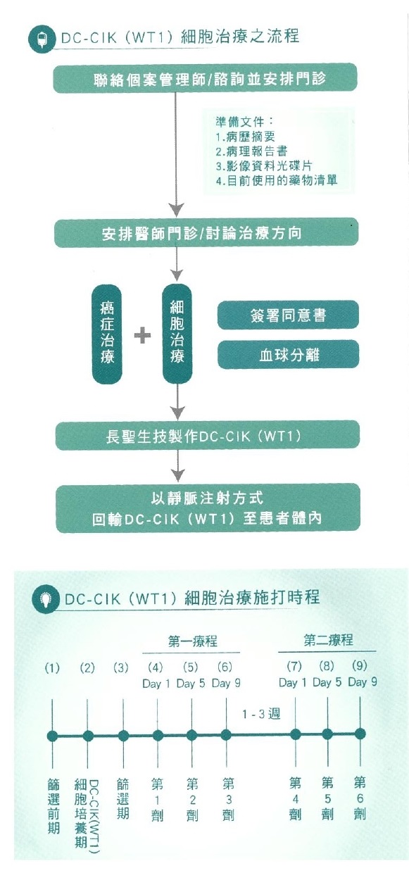 DC-CIK(WT1)細胞治療之流程
