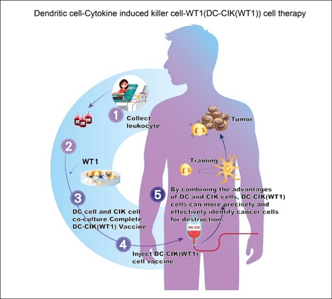 健康・医学 The Cell Neuro–epithelial–ILC2 crosstalk in barrier tissues: Trends