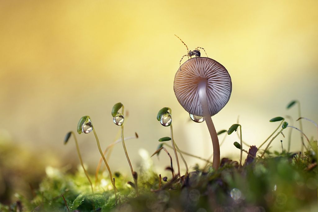 115年春節與228連假看診情形