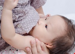 「天糧」母乳支持團體聚會 主題：哺乳母嬰的營養須知