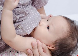 「天糧」母乳支持團體聚會 主題:哺乳母嬰的營養須知 「天糧」母乳支持團體聚會 主題:哺乳母嬰的營養須知