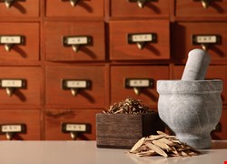 "1.從頭顧到腳：全身調理預防 腦中風的中醫智慧 2.中醫妙方解密：中藥在腦中風治療中的應用"
