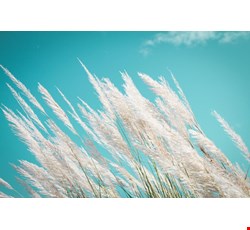 Benefits of Breastfeeding 哺餵母乳的好處