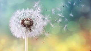 學齡前期孩童常見的睡眠問題