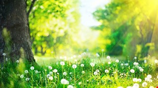 【健康醫學中心 114年 端午節暫停營業】