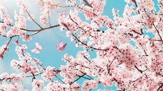 [健康醫學中心  115年春節  營運時間]