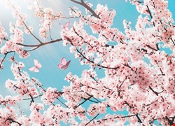 114年2月最新消息
