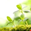 生殖醫學中心新整合影片