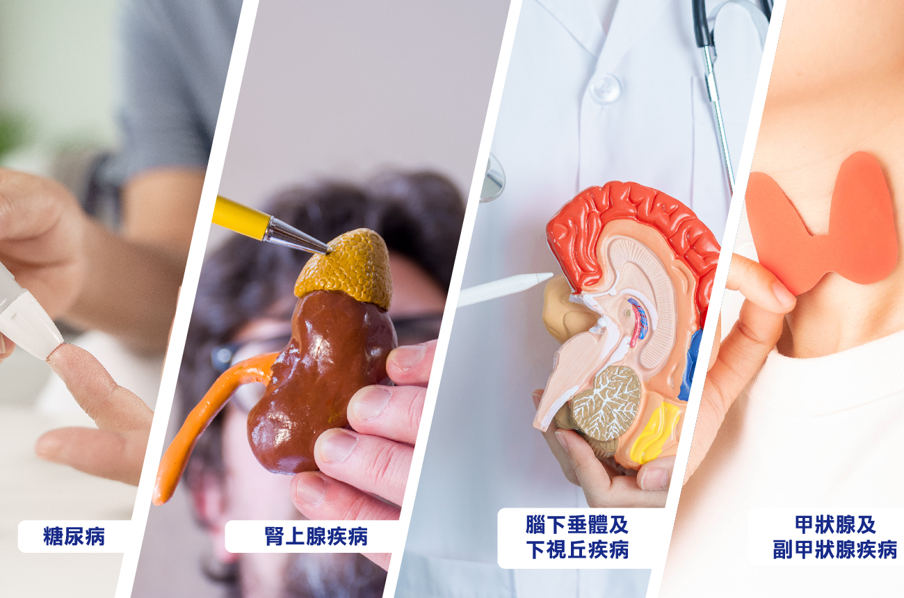 的輪播圖片