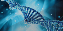 Integrative Stem Cell Center