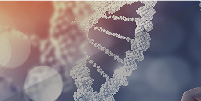 Biomedical Technology R&D Center