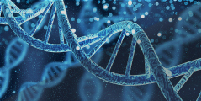 Center for Translational Genomics & Regenerative Medicine Research