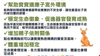 袋鼠式護理