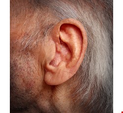 耳鳴 中西醫結合療法 