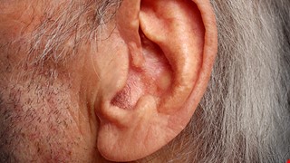 耳鳴 中西醫結合療法 