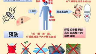 認識登革熱