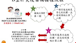 B型肝炎疫苗補接種流程