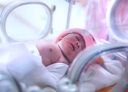 早產兒的第一個家