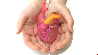 Coronary Heart Disease 冠狀動脈心臟病