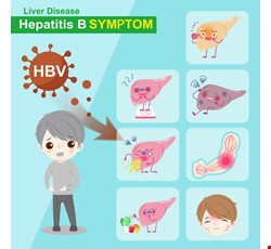 Hepatitis B 什麼是B型肝炎？