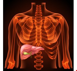 Instructions for Biliary Stenting Post-Surgical Health Education  膽道支架術後衛教說明
