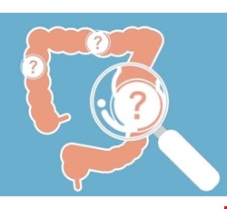 What should I know before taking GI Klean and undergo colonoscopy? 我要做大腸鏡，服用GI Klean腸見淨藥粉清腸，我要注意什麼？