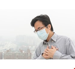 Lung Cancer 肺癌