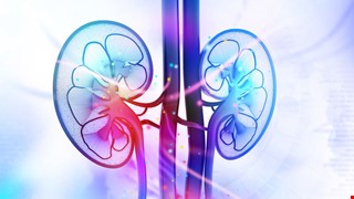 What is automated peritoneal dialysis? 「全自動腹膜透析」是什麼？