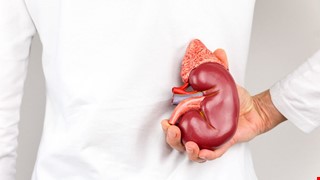 An Introduction to Living Donor Kidney Transplant 認識活體腎臟移植