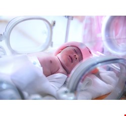 Brief introduction for new born babies admitted to NICU 新生兒加護病房入院處置簡介
